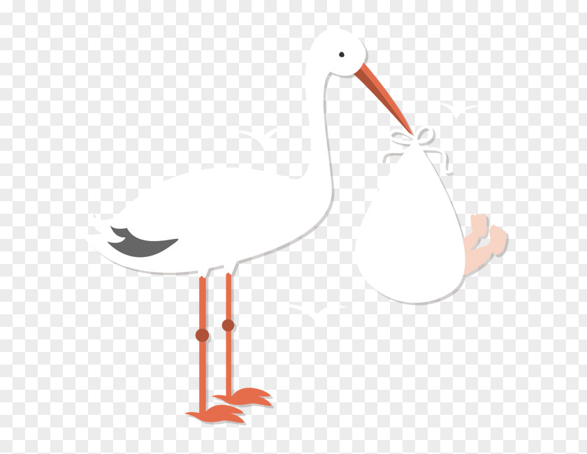 Swan Red-crowned Crane Illustration PNG