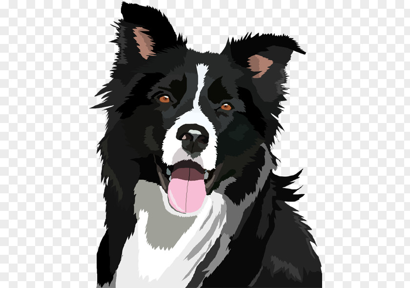 Border Collie File Bearded Clip Art PNG