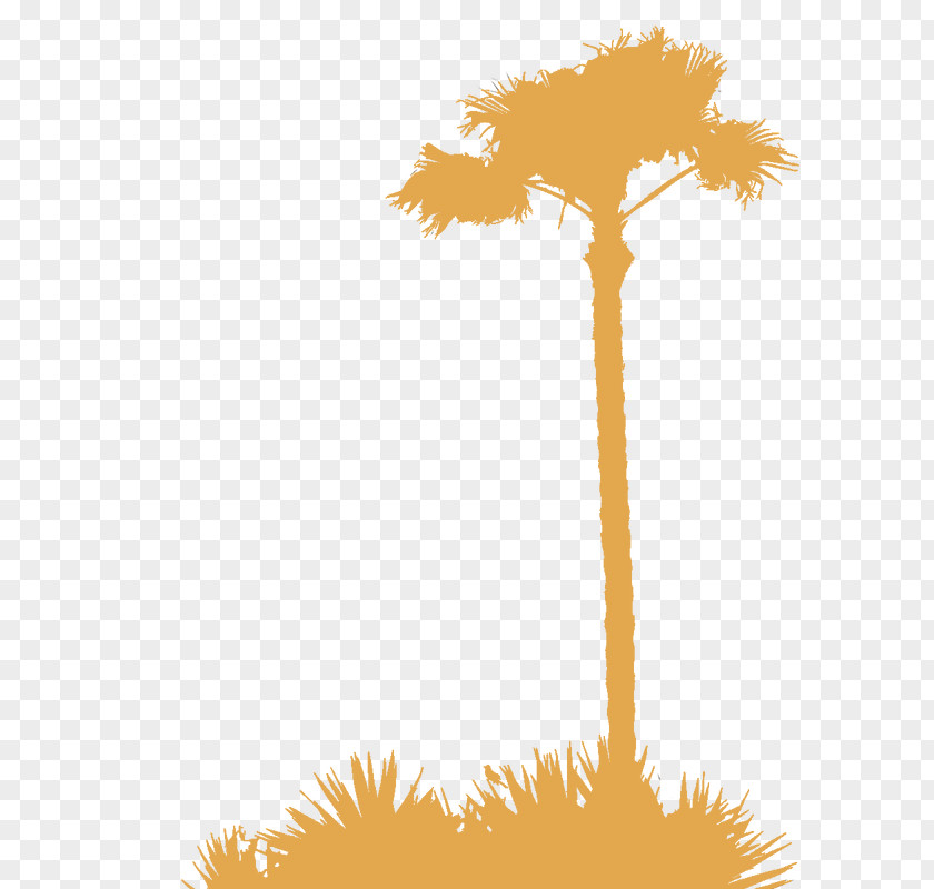 Chapathi Arecaceae Silhouette Tree Clip Art PNG