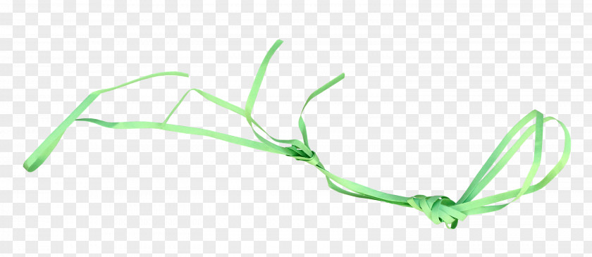 Green Ribbon Tie Download Computer File PNG