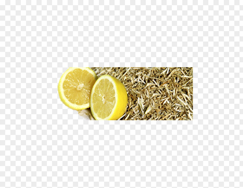 Lemon Citronella Oil Sweet Itch Horse Essential PNG