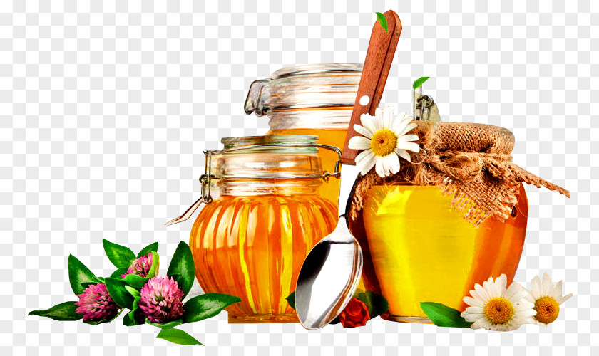 Natural Honey Bee Savior Of The Feast Day Food Monofloral PNG