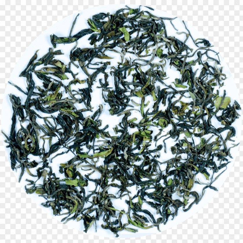 Oolong Tea Nilgiri Darjeeling Assam White PNG