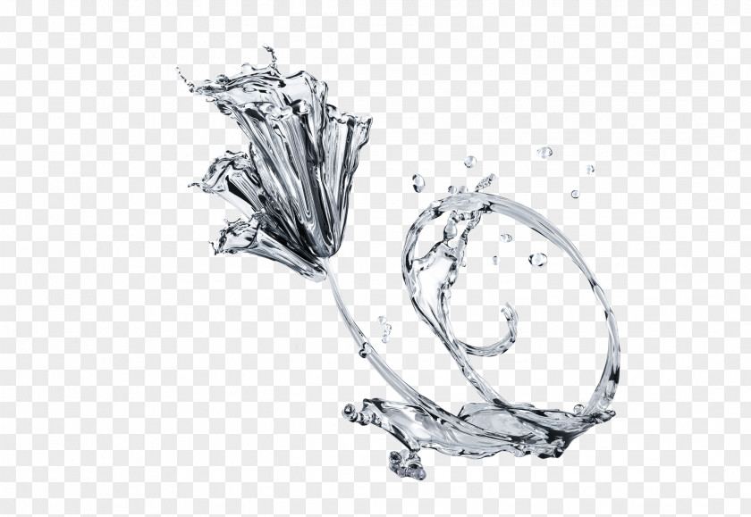 Water,flower PNG
