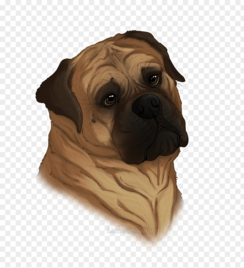 Bullmastiff Puggle Dog Breed Companion PNG