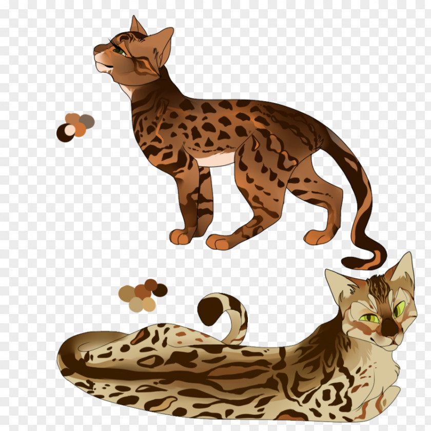 Cheetah Bengal Cat California Spangled Ocicat Tabby Wildcat PNG