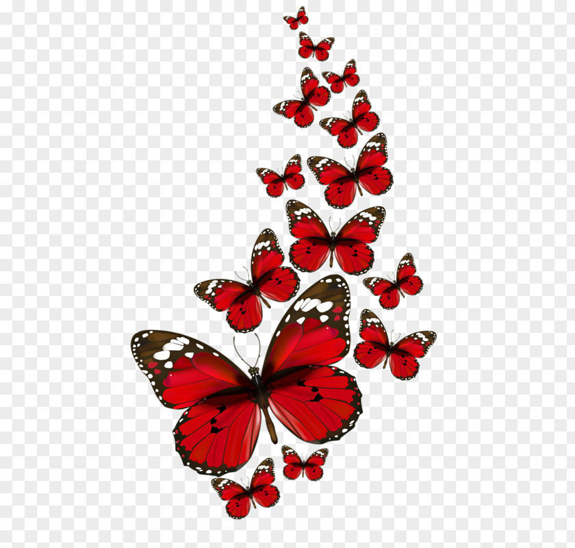 Construction Paper Butterflies Butterfly Clip Art Desktop Wallpaper Red PNG
