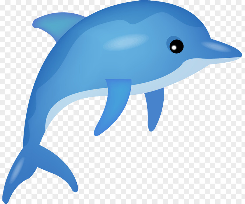 Dolphin Blue PNG