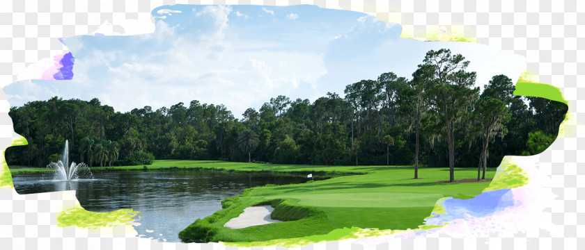 Golf Event Walt Disney World Resort Disney's Palm Course Orlando Lake Buena Vista PNG