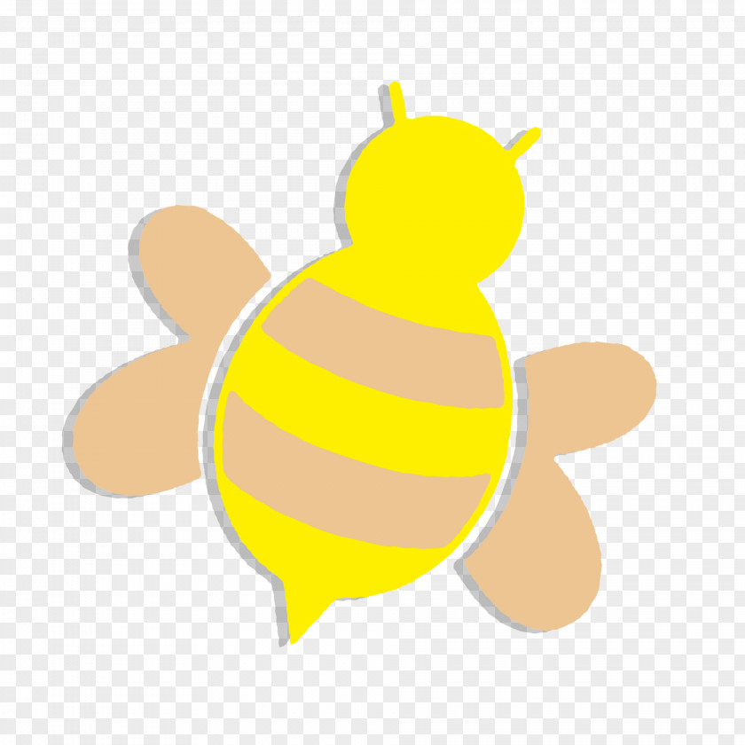 Honey Bee Insect Pollinator PNG