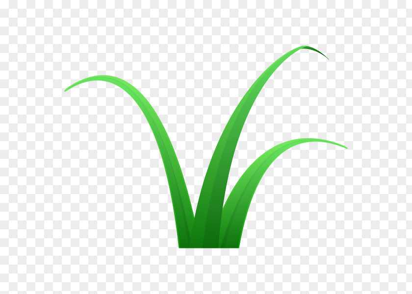 Illustration Weed Vector Graphics Grass PNG