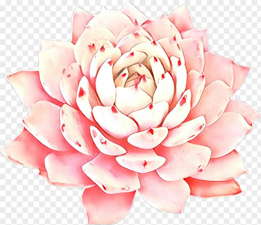 Rose Peach Artificial Flower PNG