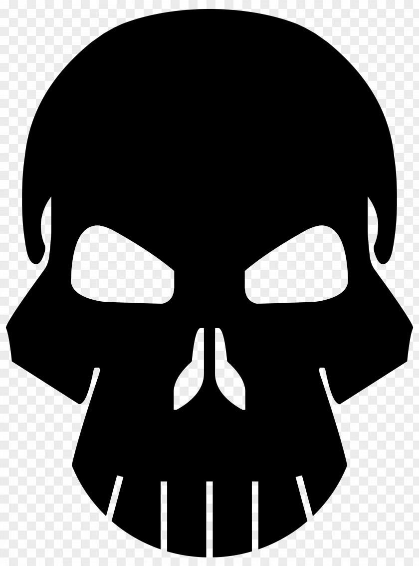 Skulls Punisher Human Skull Symbolism Logo Bone PNG
