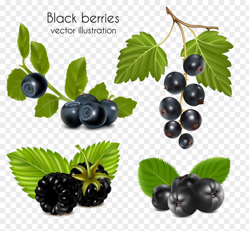 Blueberry Raspberry Image Juice Blackcurrant Berry Clip Art PNG