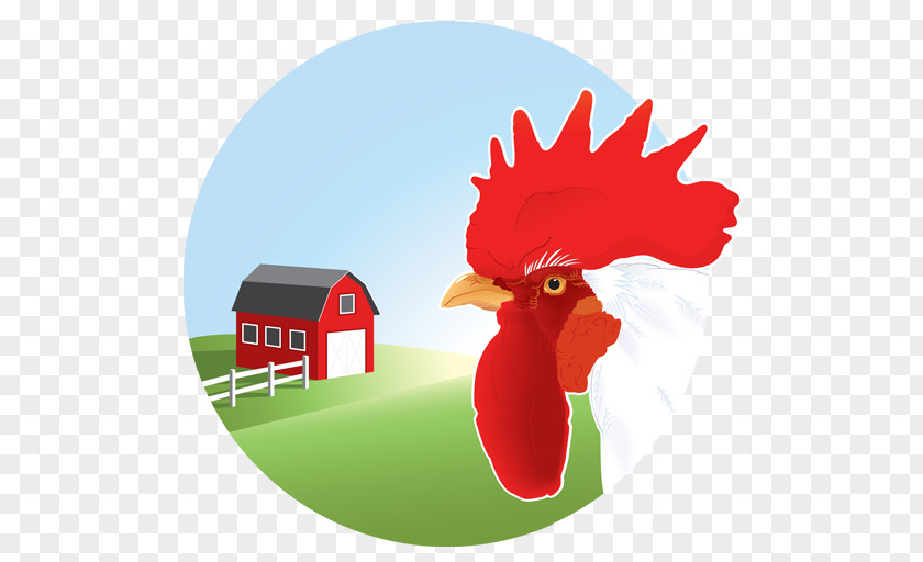 Chicken Vector Graphics Clip Art Illustration Image PNG