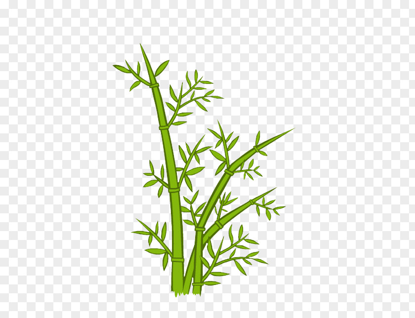 FIG Bamboo Cartoon PNG