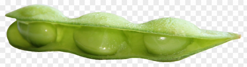 Fresh Soybean Vegetable Green Fruit PNG