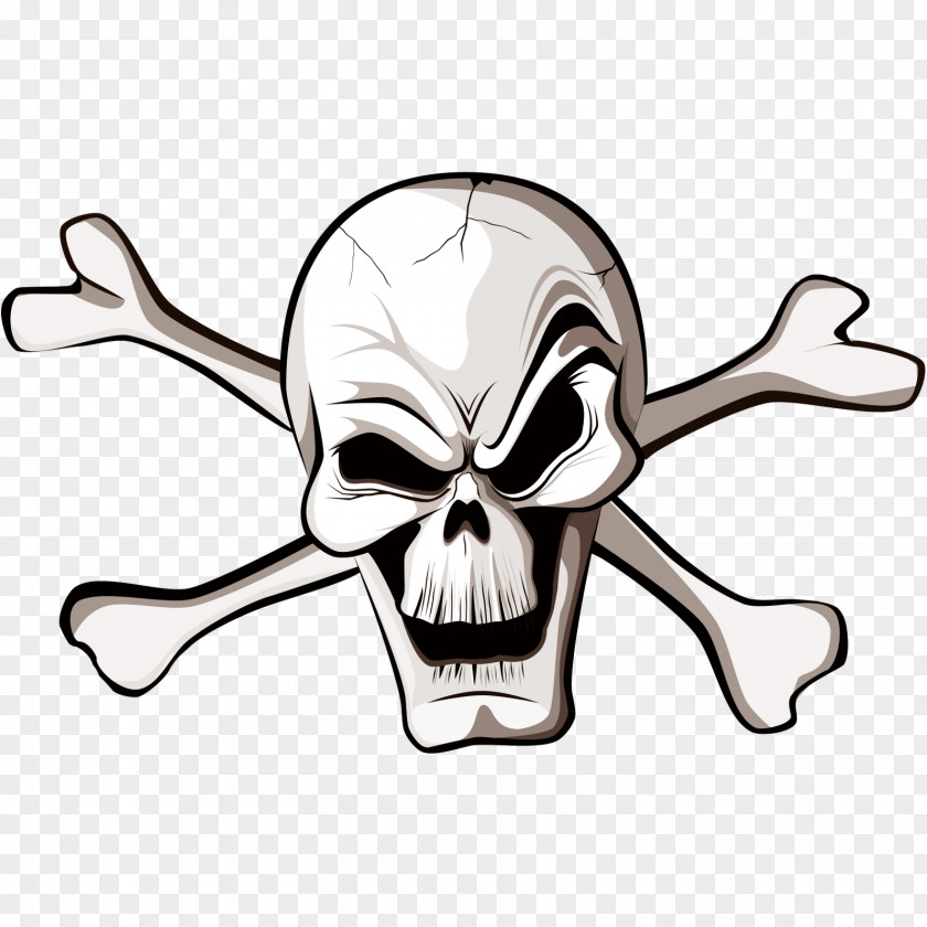 Jolly Roger Piracy Currency Pair PNG
