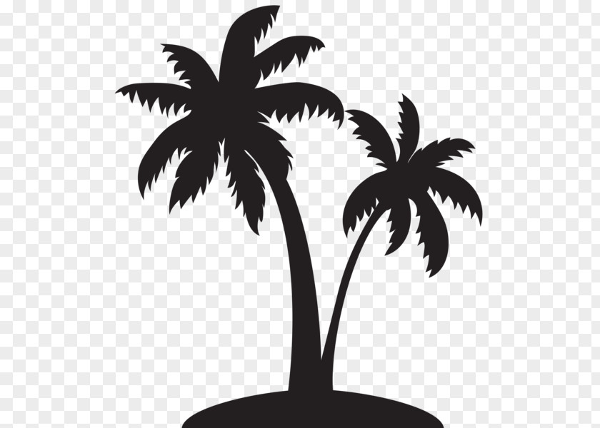 Silhouette Arecaceae Clip Art PNG