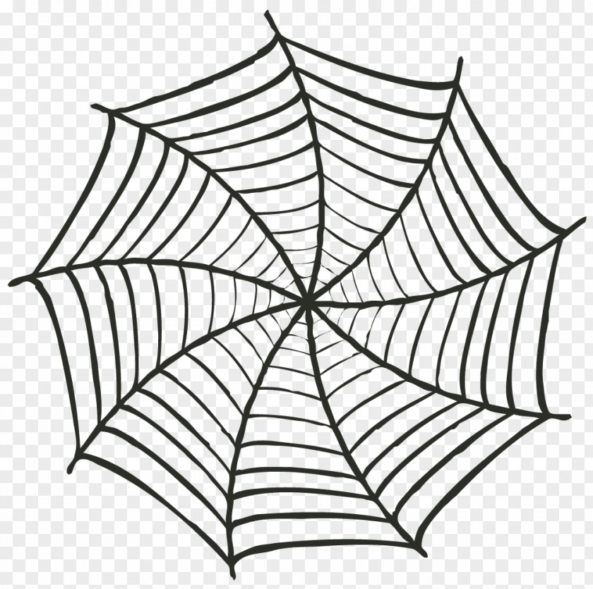 Spider Web Vector Graphics Royalty-free Image PNG