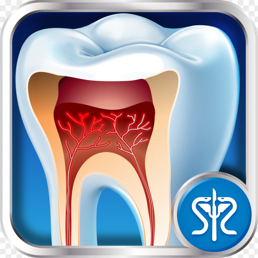 Tooth-cleaning Tooth Dentistry Medicine Surgery PNG