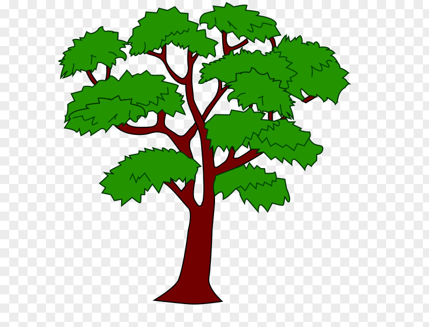 Tree Mahogany Draw Trees Clip Art PNG