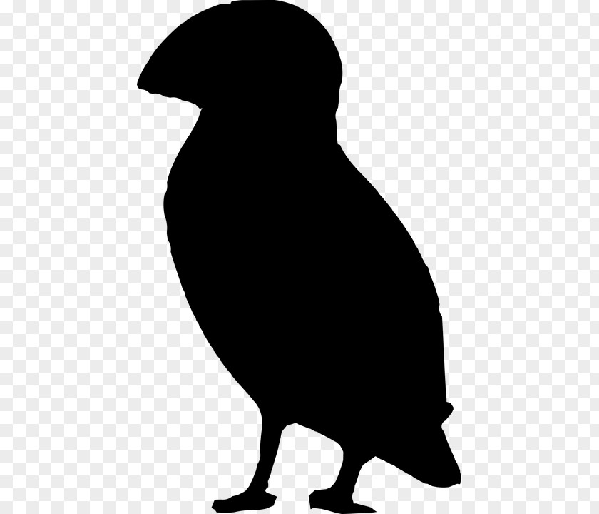 Bird Silhouette Beak Atlantic Puffin Clip Art PNG