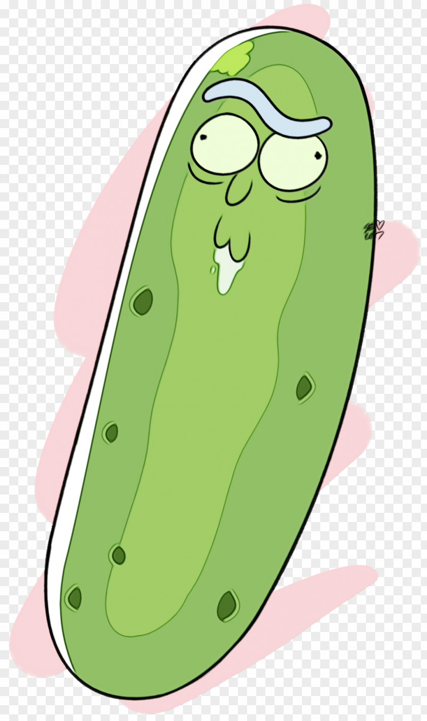 Fruit Cucumis Green Cucumber Legume Vegetable Plant PNG