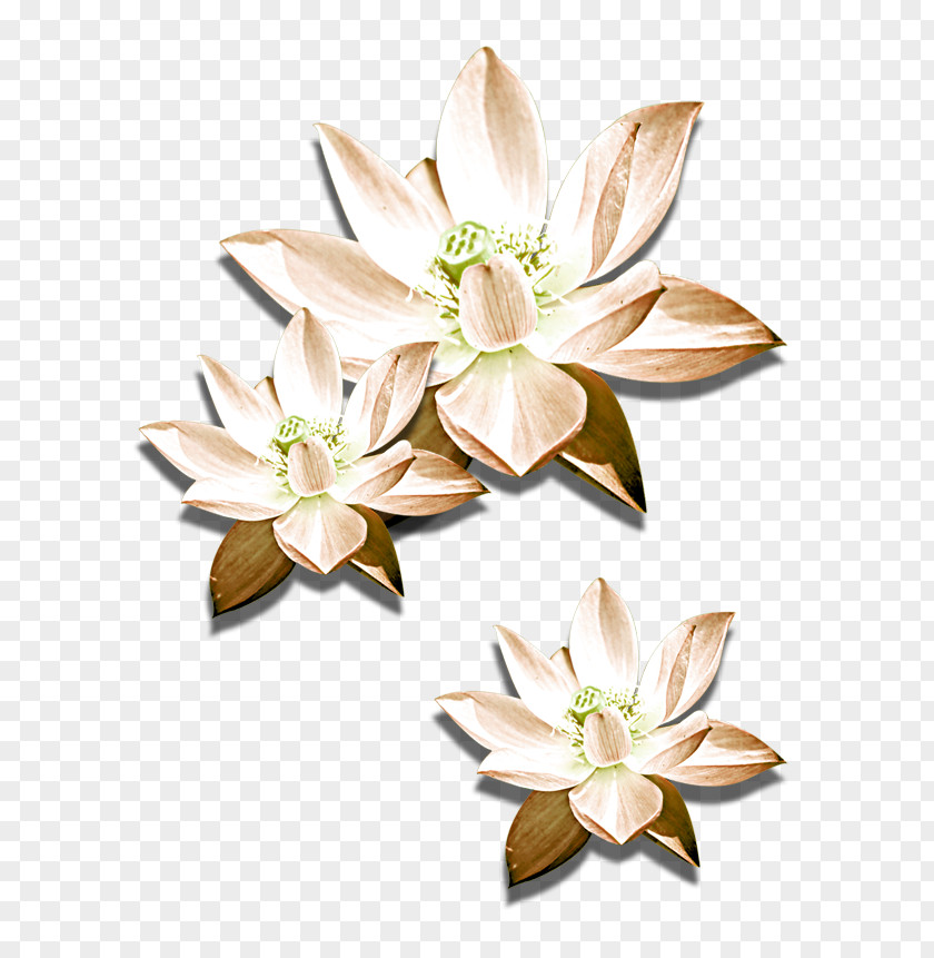 Hand-painted Lotus Cut Flowers Nelumbo Nucifera Icon PNG
