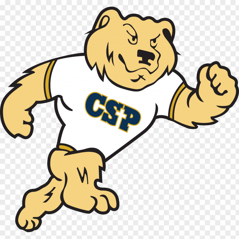 Mascot Concordia University-St. Paul Golden Bears Football Upper Iowa University Men's Basketball Florida Southern College PNG
