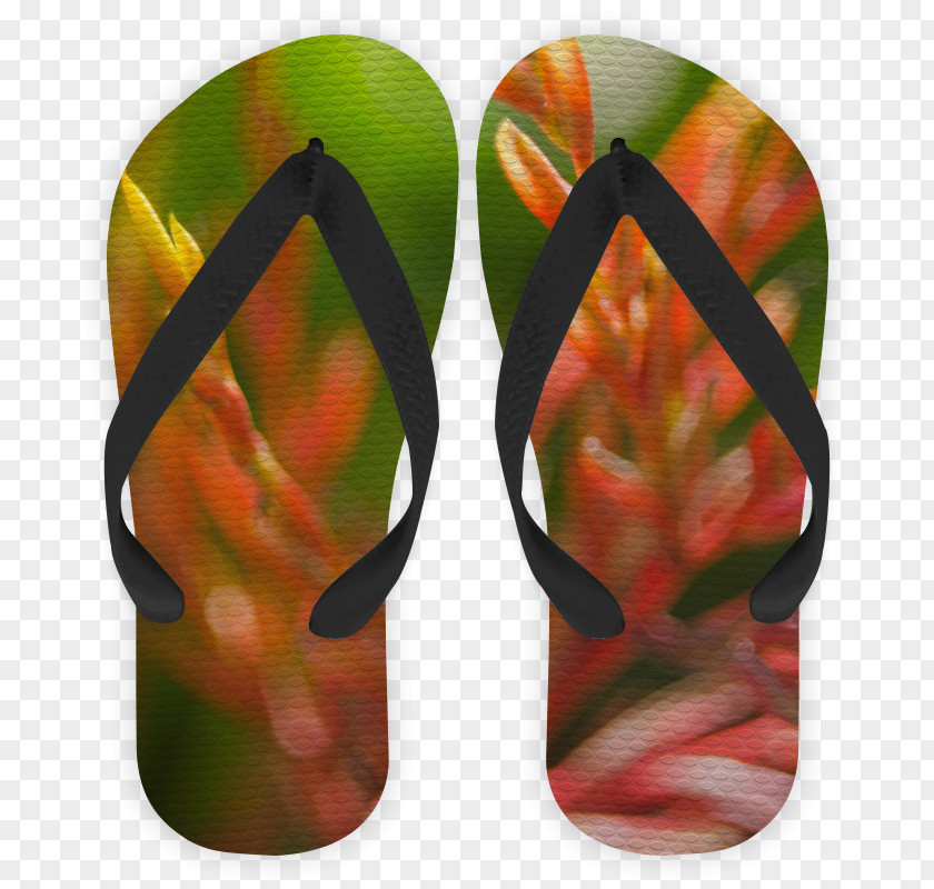Peacocks Flip-flops Shoe Leaf PNG