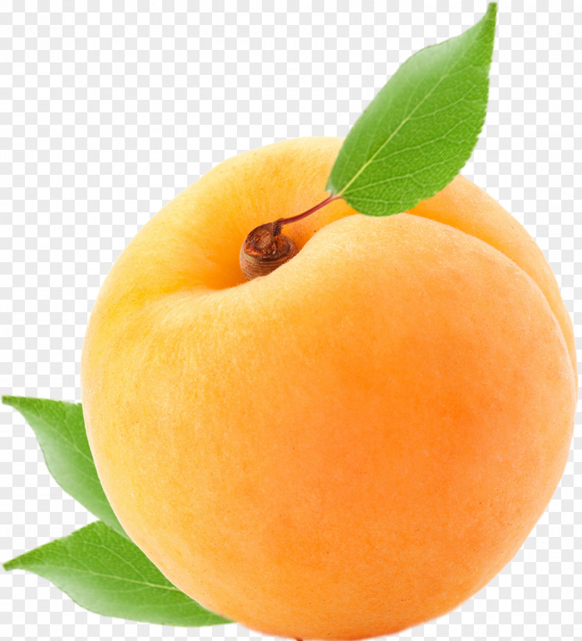 Apricot Food Peach Fruit Plum PNG