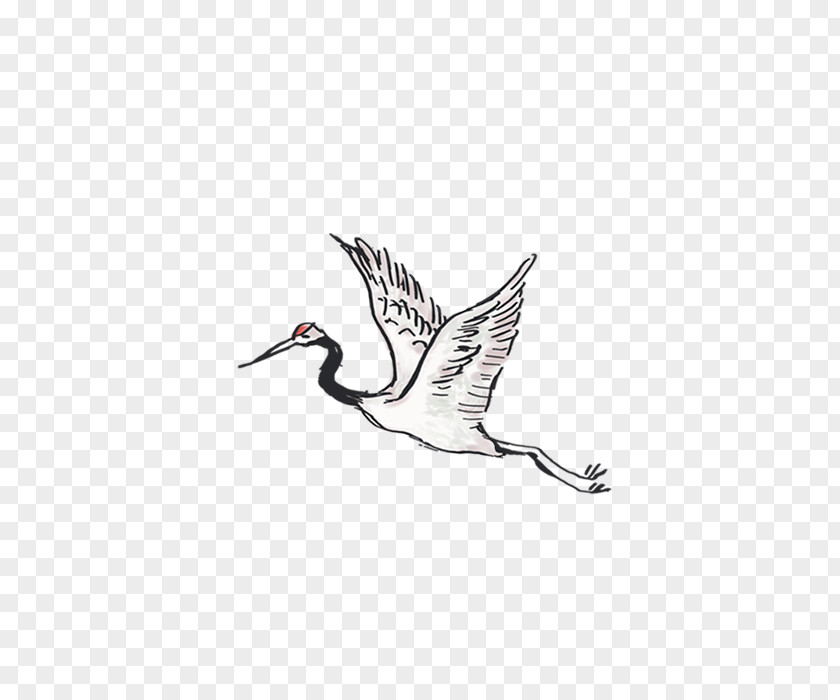 Crane Bird PNG