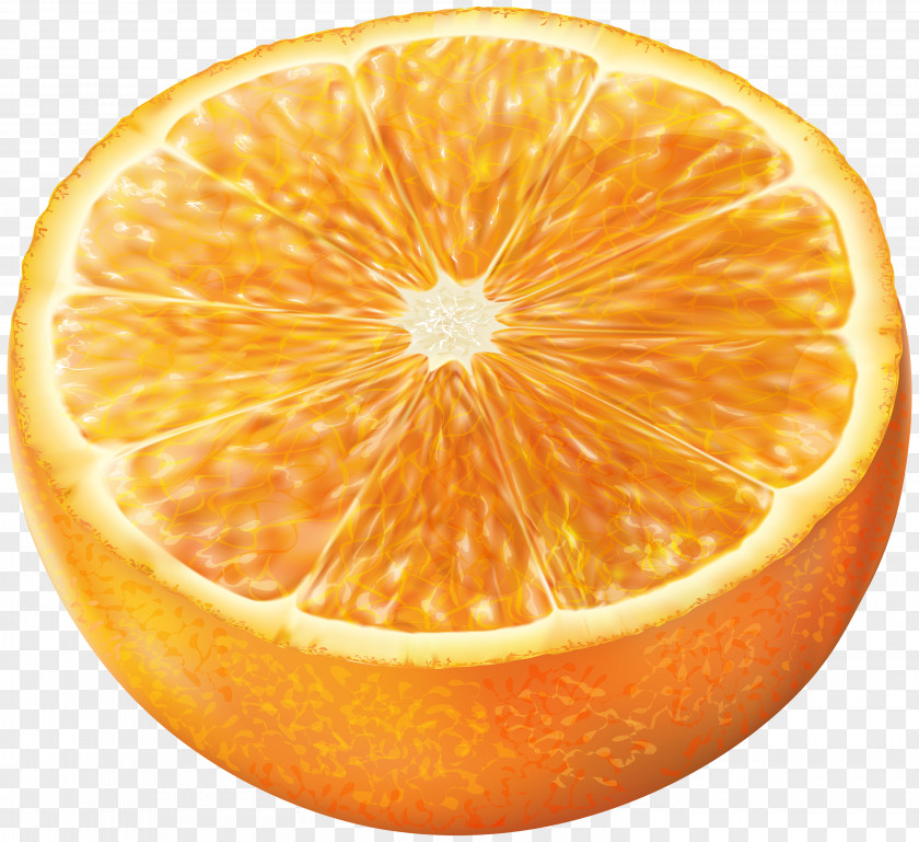 Half Orange Transparent Clip Art Blood Juice Tangerine PNG