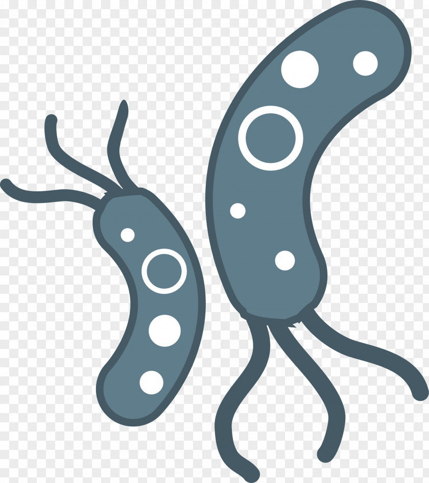 Microscope Bacteria Filename Extension Clip Art PNG