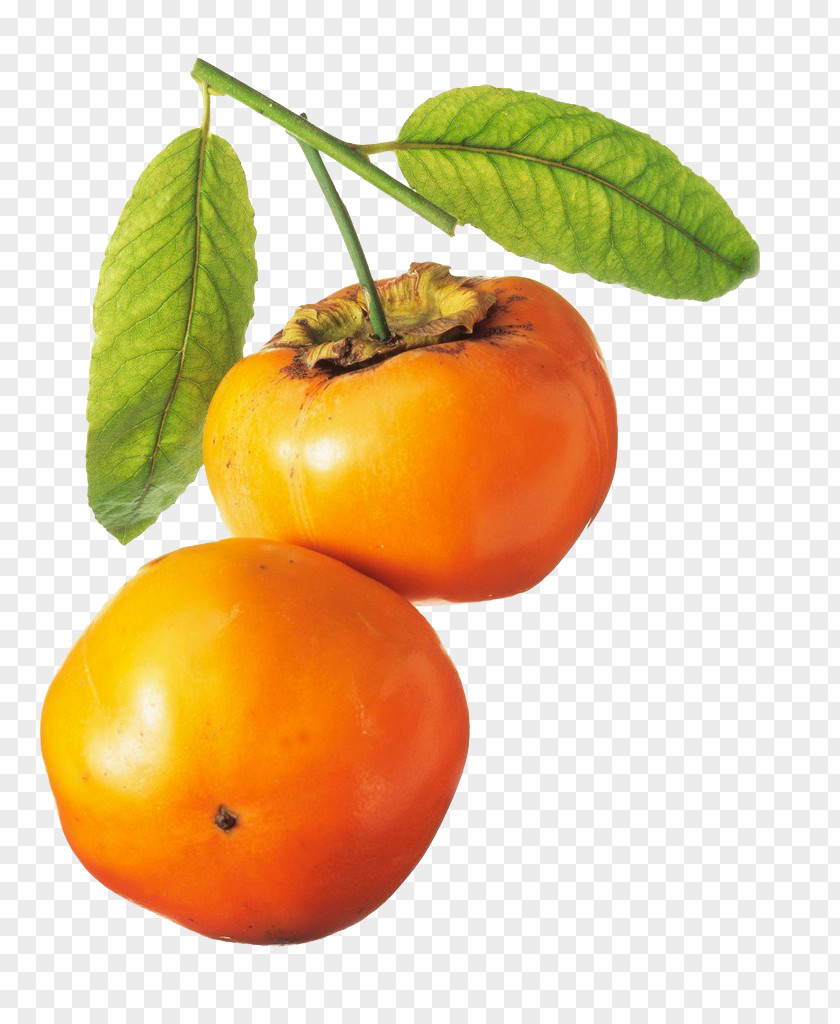 Persimmon Fruit Tangerine PNG