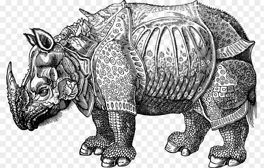 Armour Dürer's Rhinoceros Drawing Clip Art PNG