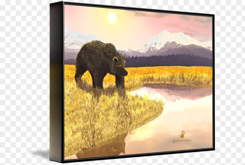 Bear Painting Picture Frames Elephantidae Wildlife PNG