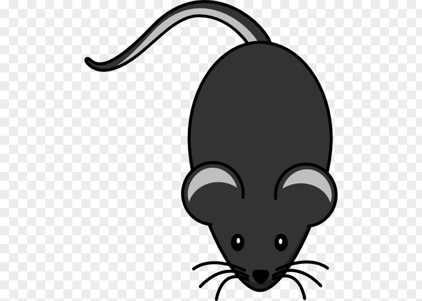 Dark Grey Mouse Rat Clip Art PNG