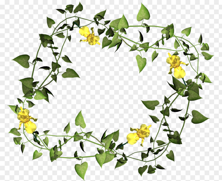 Flower Floral Design Easter Picture Frames Clip Art PNG