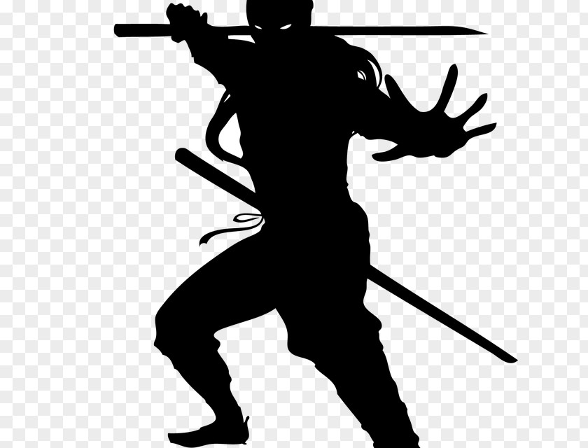 Ninja Shadow Of The Ninjutsu Martial Arts PNG
