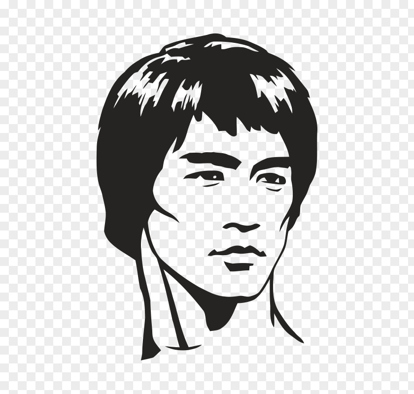 Bruce Lee Dragon: The Story Sticker Tao Of Jeet Kune Do Phonograph Record PNG