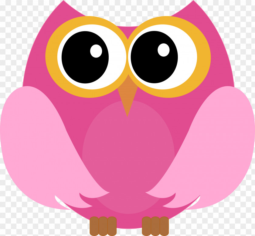 Cartoon Cute Owl Vector Material Free Download Little Bird Clip Art PNG