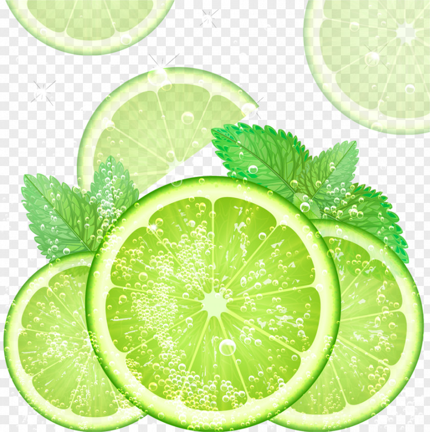 Green Lemon Mojito Cocktail Lime PNG