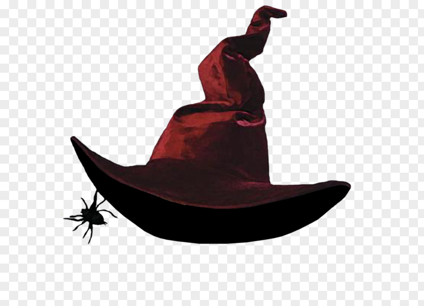 Hat Witch Witchcraft Costume Косово Поле (Радиоверсия) PNG