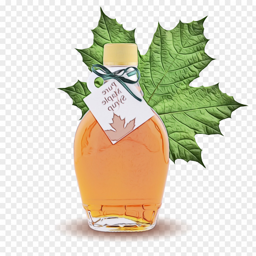Maple Syrup Herb Color Background PNG