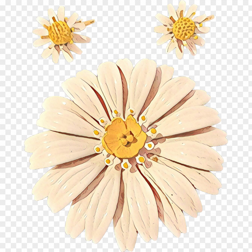 Pollen Aster Flowers Background PNG