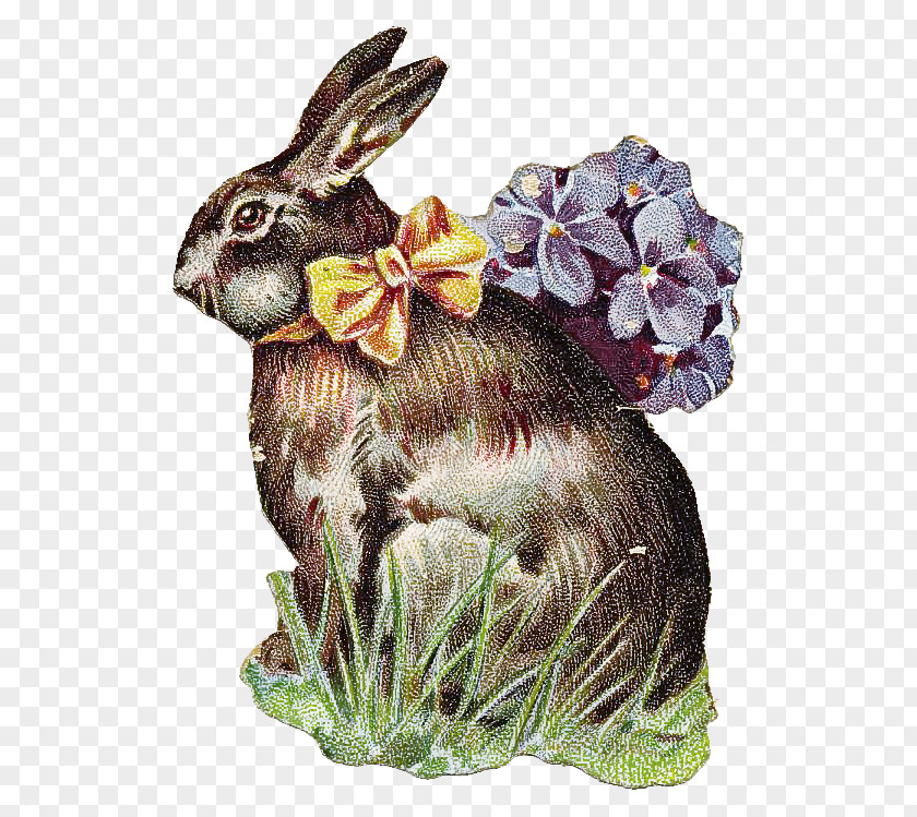 Rabbit Rabbits And Hares Hare Plant Animal Figure PNG