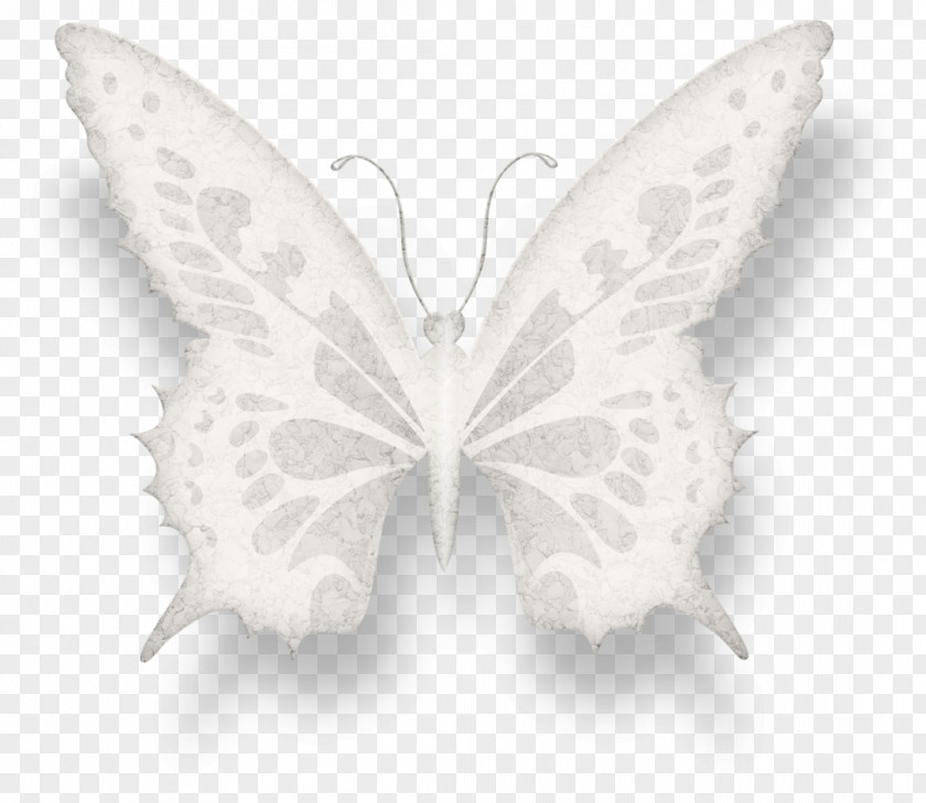 Small Butterfly Drawing Cartoon PNG