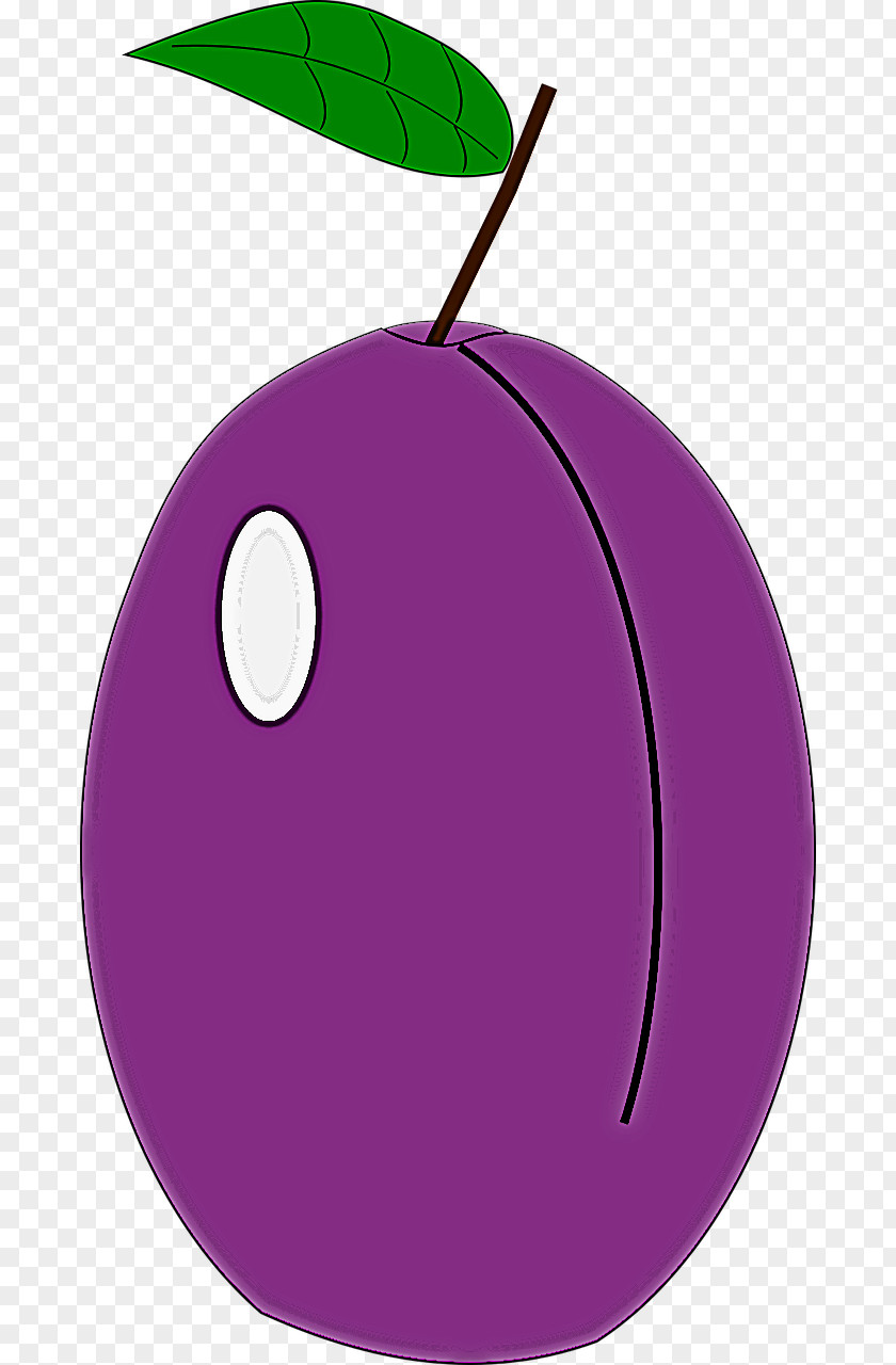 Violet Purple Circle Fruit Magenta PNG